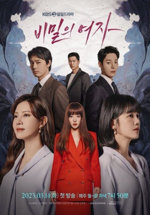 비밀의 여자 포스터