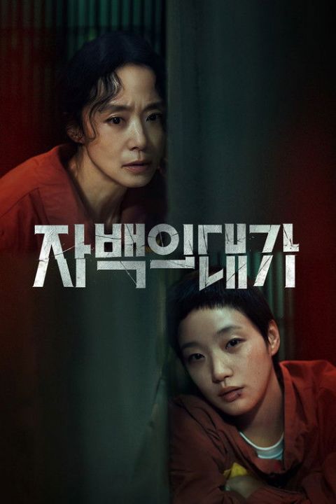 자백의 대가 포스터