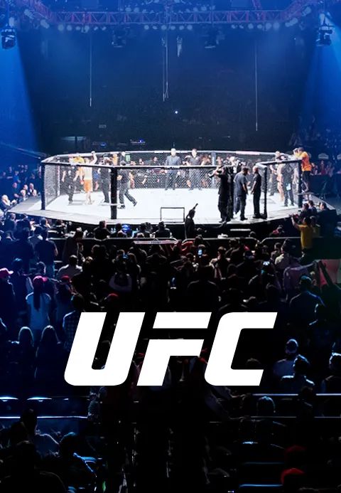 UFC 포스터