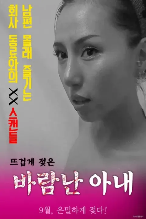 바람난 아내 포스터