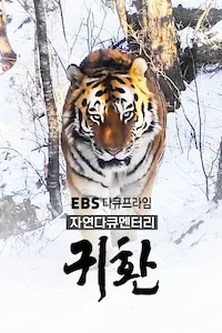 자연다큐멘터리 귀환 | 다큐프라임 시즌 1 포스터