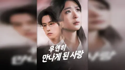 우연히 만나게 된 사랑 포스터