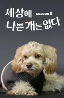 세상에 나쁜 개는 없다 시즌 5 포스터