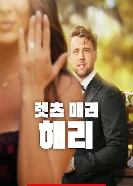 렛츠 매리 해리 포스터