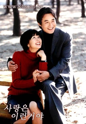 사랑은 이런 거야 포스터