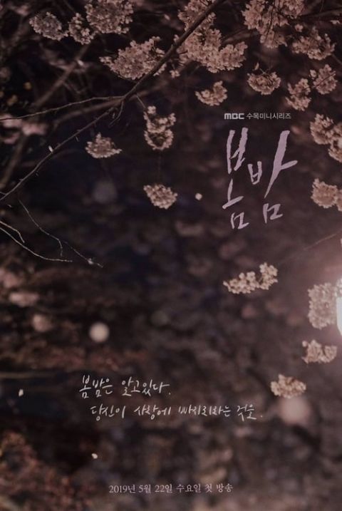 봄밤 포스터