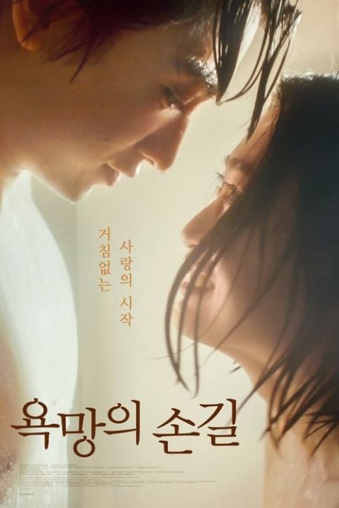 욕망의 손길 포스터