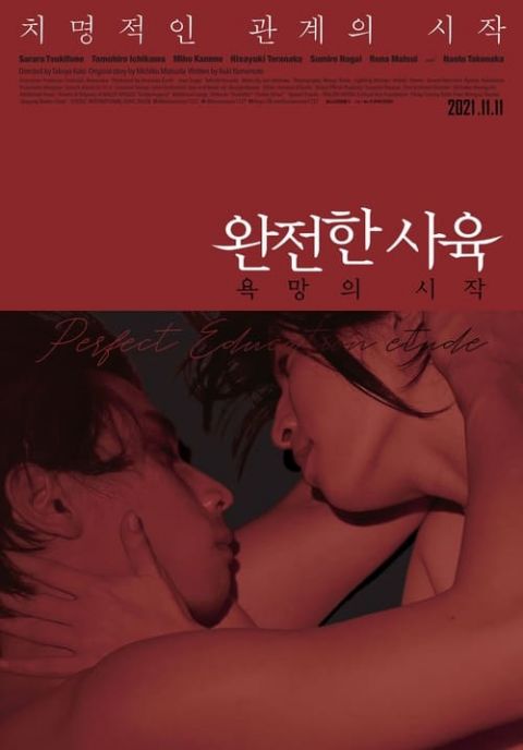 완전한 사육: 욕망의 시작 포스터
