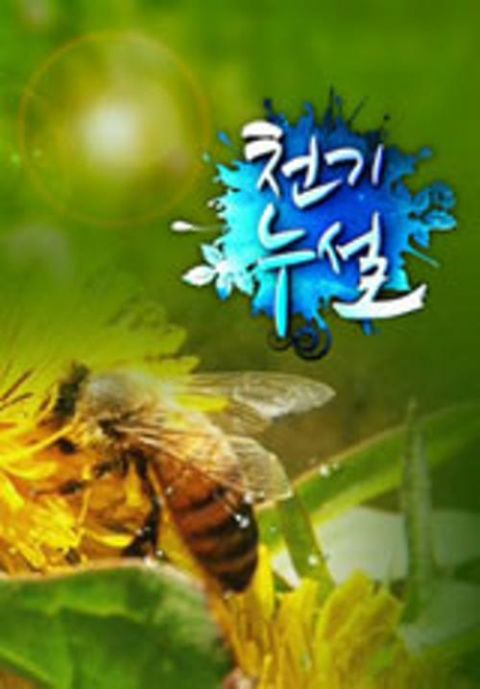 천기누설 포스터