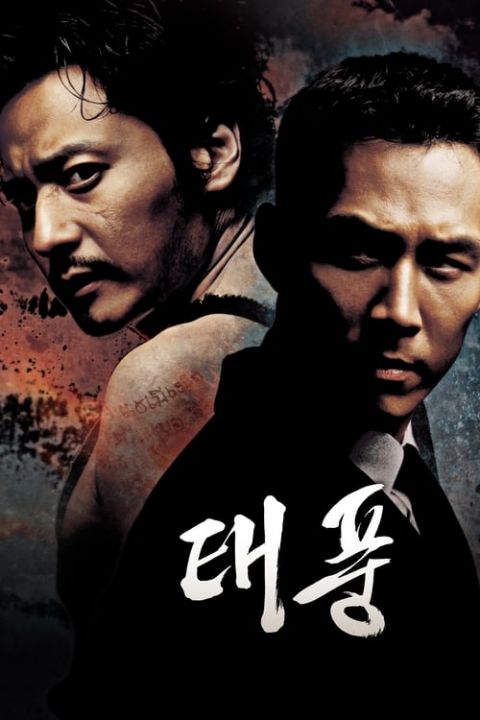 태풍 포스터